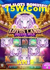 Recursos de Bônus WIN7B
